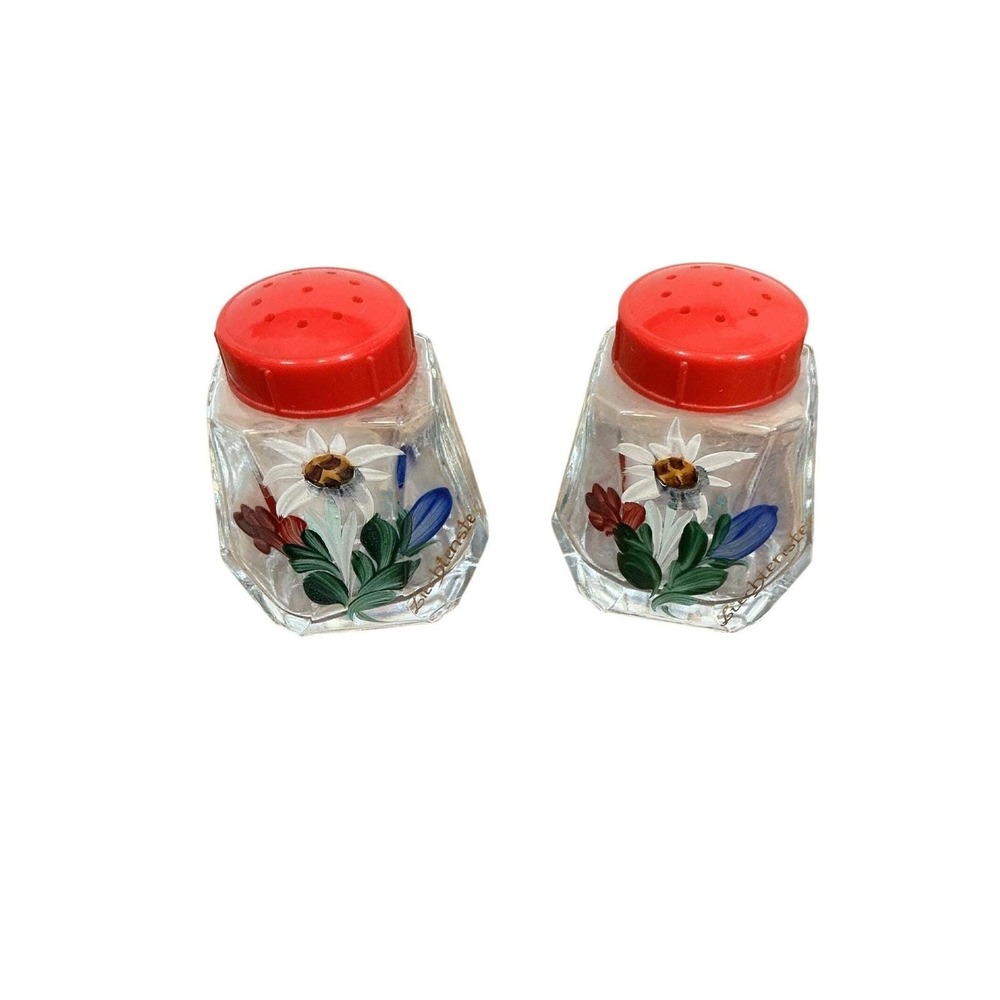 Vintage Liechtenstein Souvenir Salt and Pepper Shakers Hand Painted Floral Glass